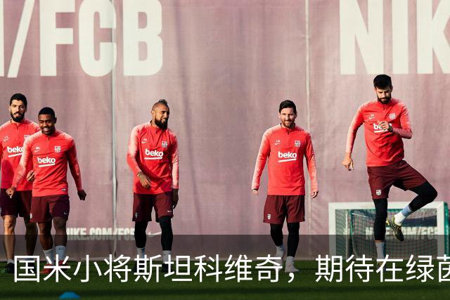 国米小将斯坦科维奇，期待在绿茵场上大施拳脚！