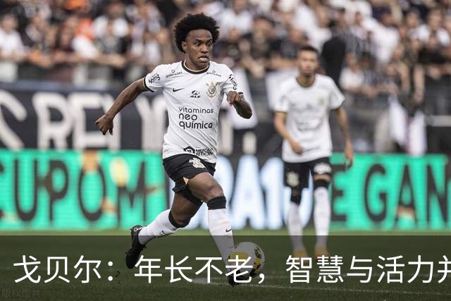 戈贝尔：年长不老，智慧与活力并存的篮球岁月