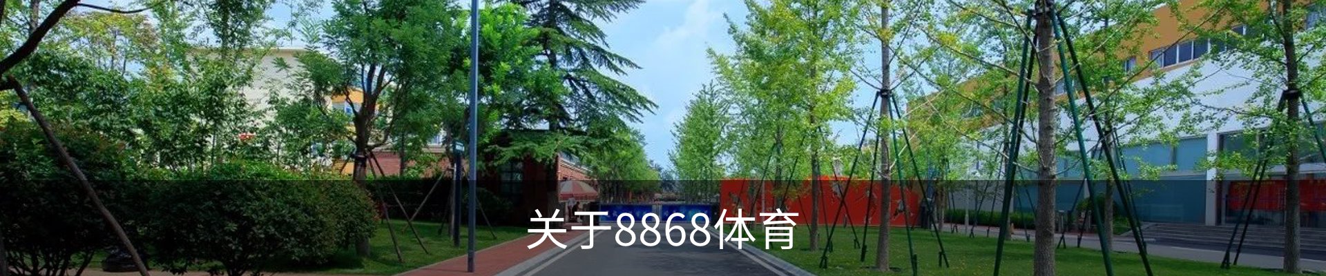 关于8868体育