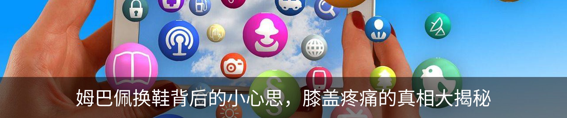 新闻动态