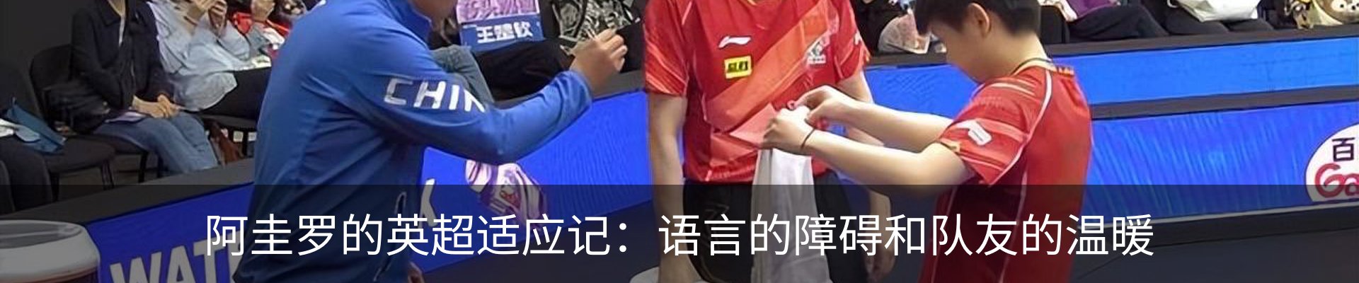 新闻动态